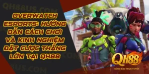 Overwatch